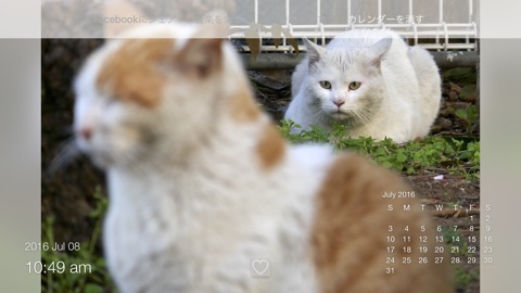 Screenshot #3 for 12 months of Street Cats