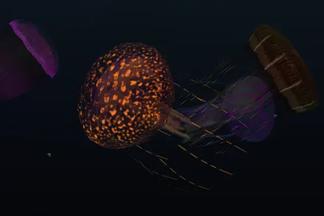 Jelly Dream