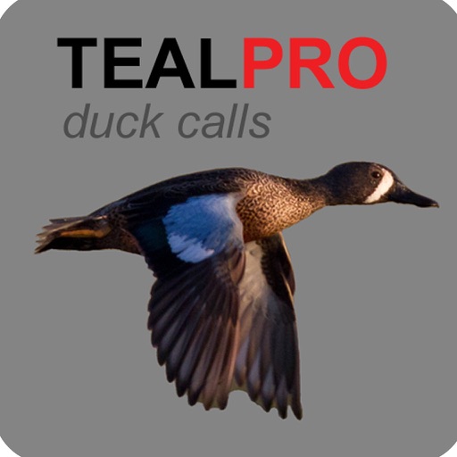 Duck Calls for Teal - TealPro Duck Hunting Calls icon