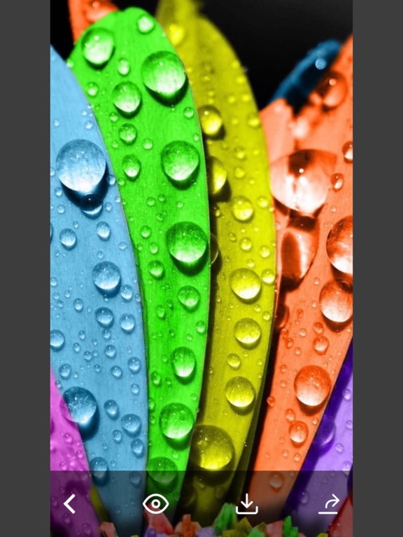 Screenshot #6 pour Flowers HD Wallpaper - Great Collection