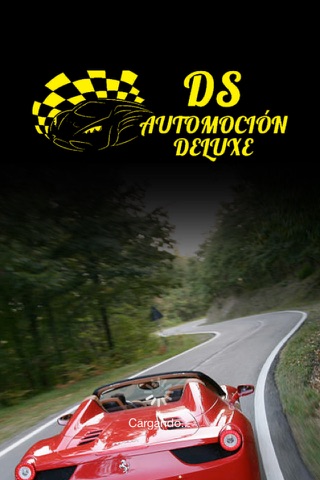 DS Automoción screenshot 3