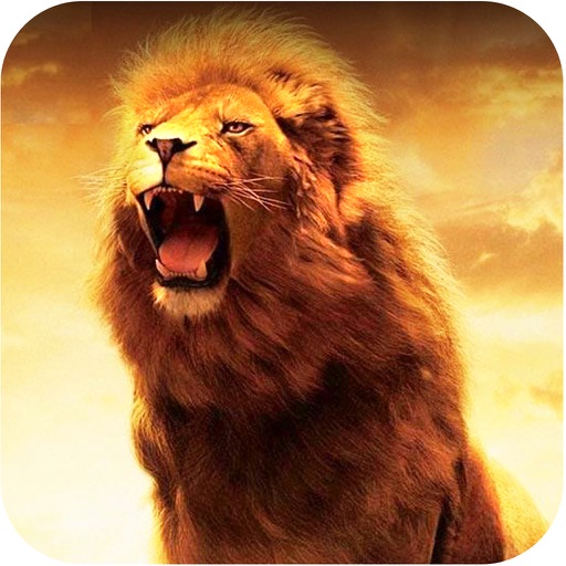 2016 Big Safari Hunting Challenge Pro : Lion Attacking Simulator icon