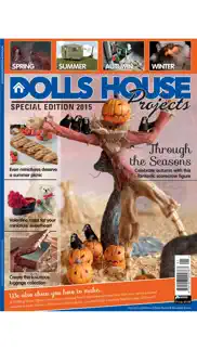 dolls house projects problems & solutions and troubleshooting guide - 4