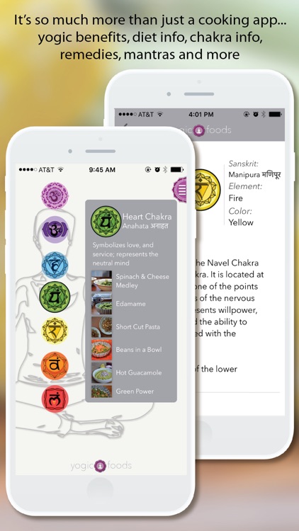 YogicFoods - Vegetarian recipes to detox your body and balance your chakras using Kundalini yoga screenshot-3