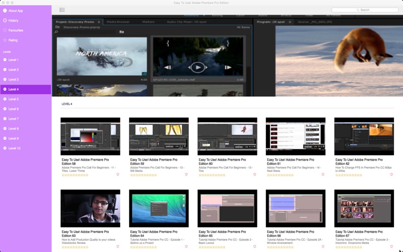 Easy To Use! Adobe Premiere Pro Edition thumbnail 2