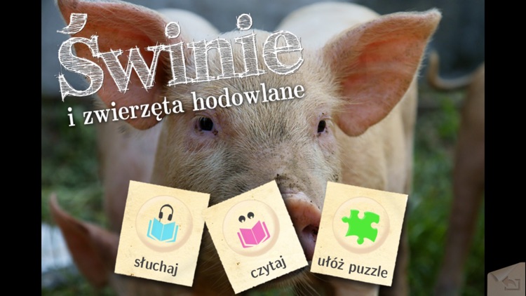 Świnie i inne zwierzęta hodowlane