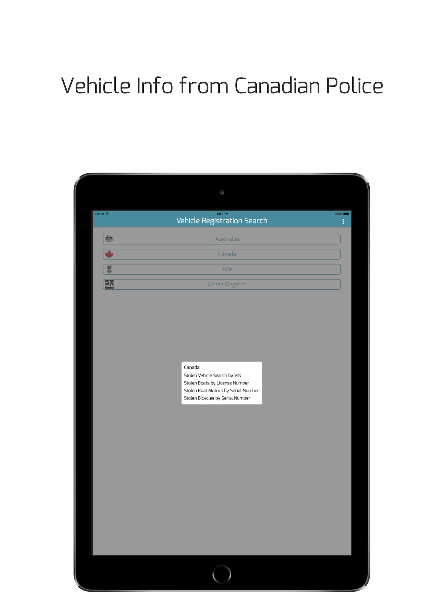 Vehicle Registration Search -detailed car info screenshot 9