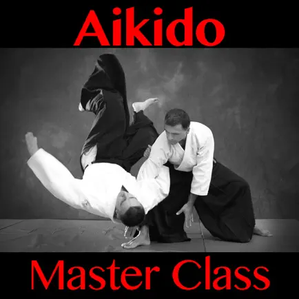 Aikido Master Class Читы