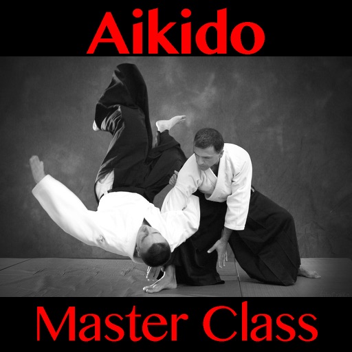 Aikido Master Class Icon