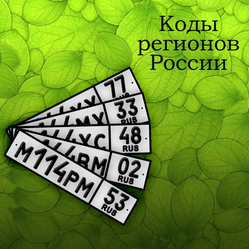 Коды регионов РФ Codes of Regions of Russia icon