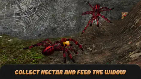 Spider Life Simulator 3D - Games App | MWM