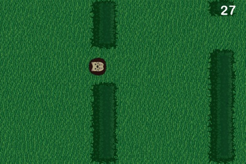 Hedge-Hog screenshot 4