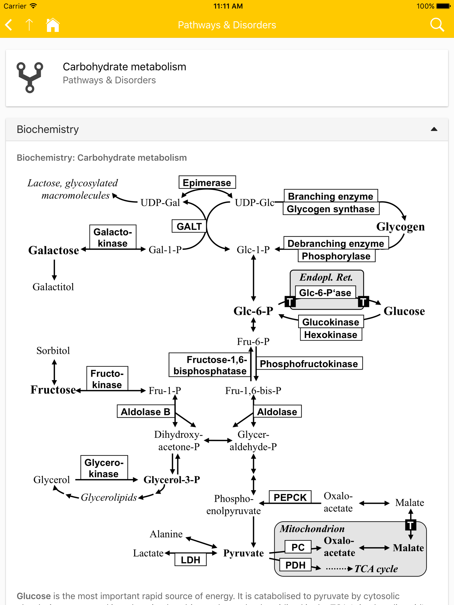 eVM - Vademecum Metabolicum