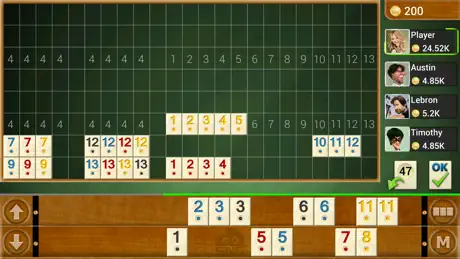 Rummy Offline