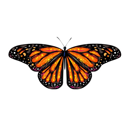 Butterfly Stickers