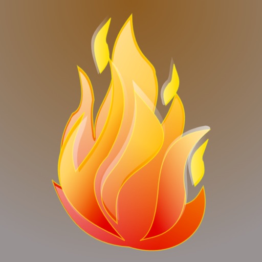 firebox browser icon