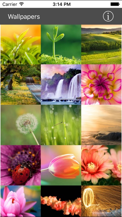 Wallpaper Collection Plus screenshot-3