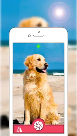 Game screenshot Live Wallpapers Cam - Make Your Video to Live Wallpapers For iPhone 6s and 6s Plus apk