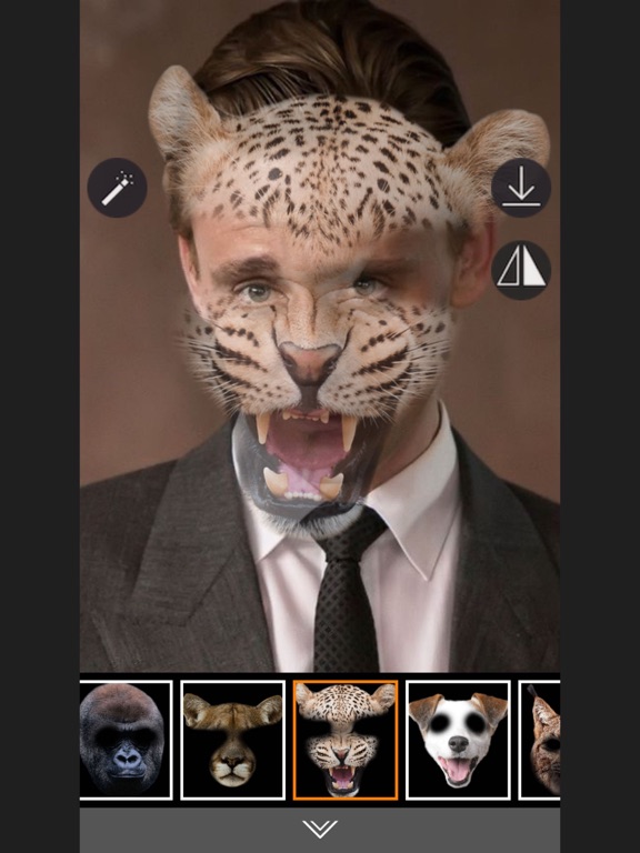 Animal Face - Selfie Editor & Stickers for Pictures iPad screenshot