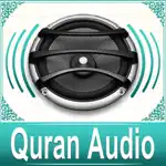 Quran Audio - Sheikh Basfar App Positive Reviews