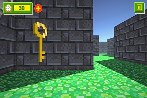 Survival 3d Craft Labyrinth screenshot 3