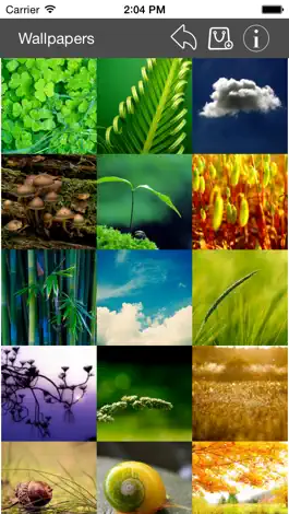 Game screenshot Wallpaper Collection Nature Edition mod apk