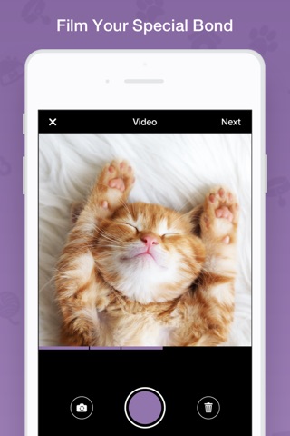 Gampets - The Best App to Watch Pet Videos screenshot 2