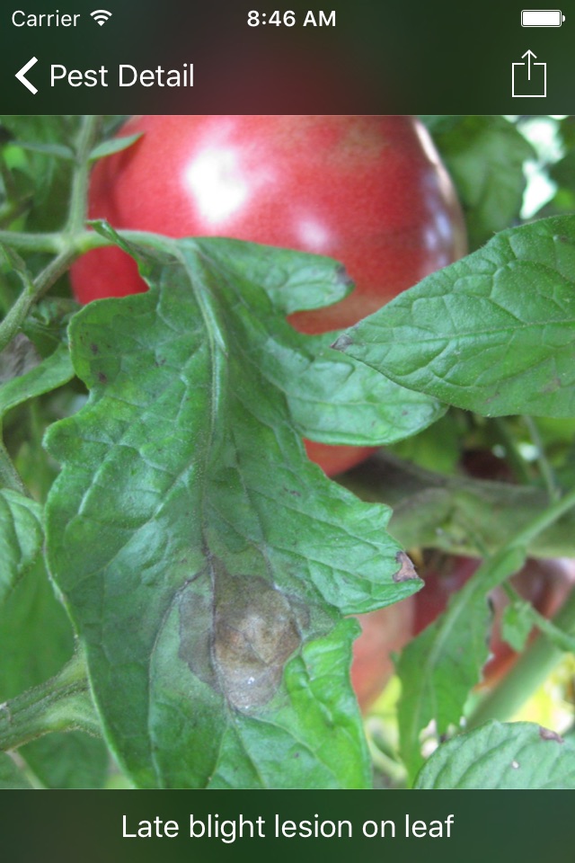 Purdue Tomato Doctor screenshot 4