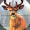 Big Game Wild Deer Hunting Challenge 3D Late Season 2016