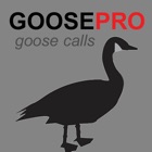 Top 31 Sports Apps Like Canada Goose Calls & Goose Sounds for Hunting BLUETOOTH COMPATIBLE - Best Alternatives