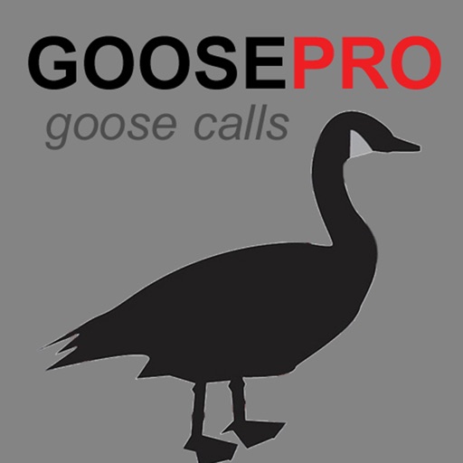 Canada Goose Calls & Goose Sounds for Hunting BLUETOOTH COMPATIBLE iOS App