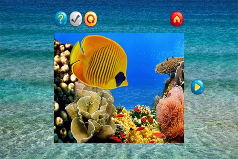 Undersea Jigsaw Puzzle Games screenshot 4