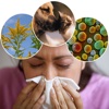 Allergies 101: Prevention Tips and Treatment Tutorial