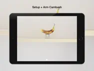 Cambush - Motion Detector Video Camera - Surveillance, Detection, Security, Spy Cam App ipad bilder 0