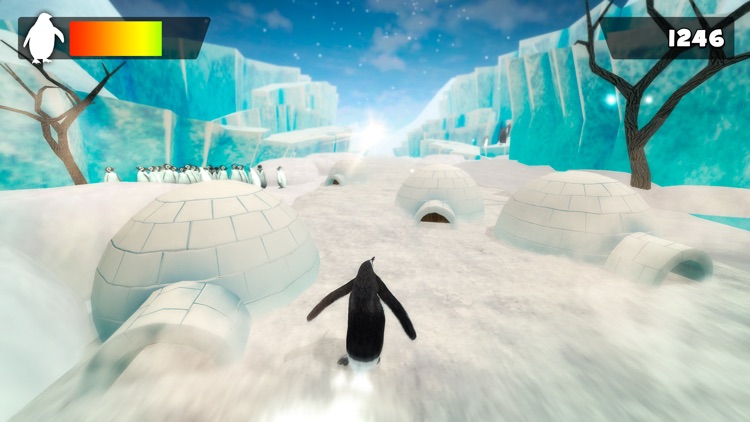 Penguin Simulator 2016 | Crazy Racing Penguins Game Free screenshot-4