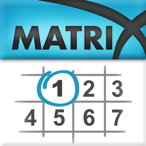 Matrix Calendar Icon