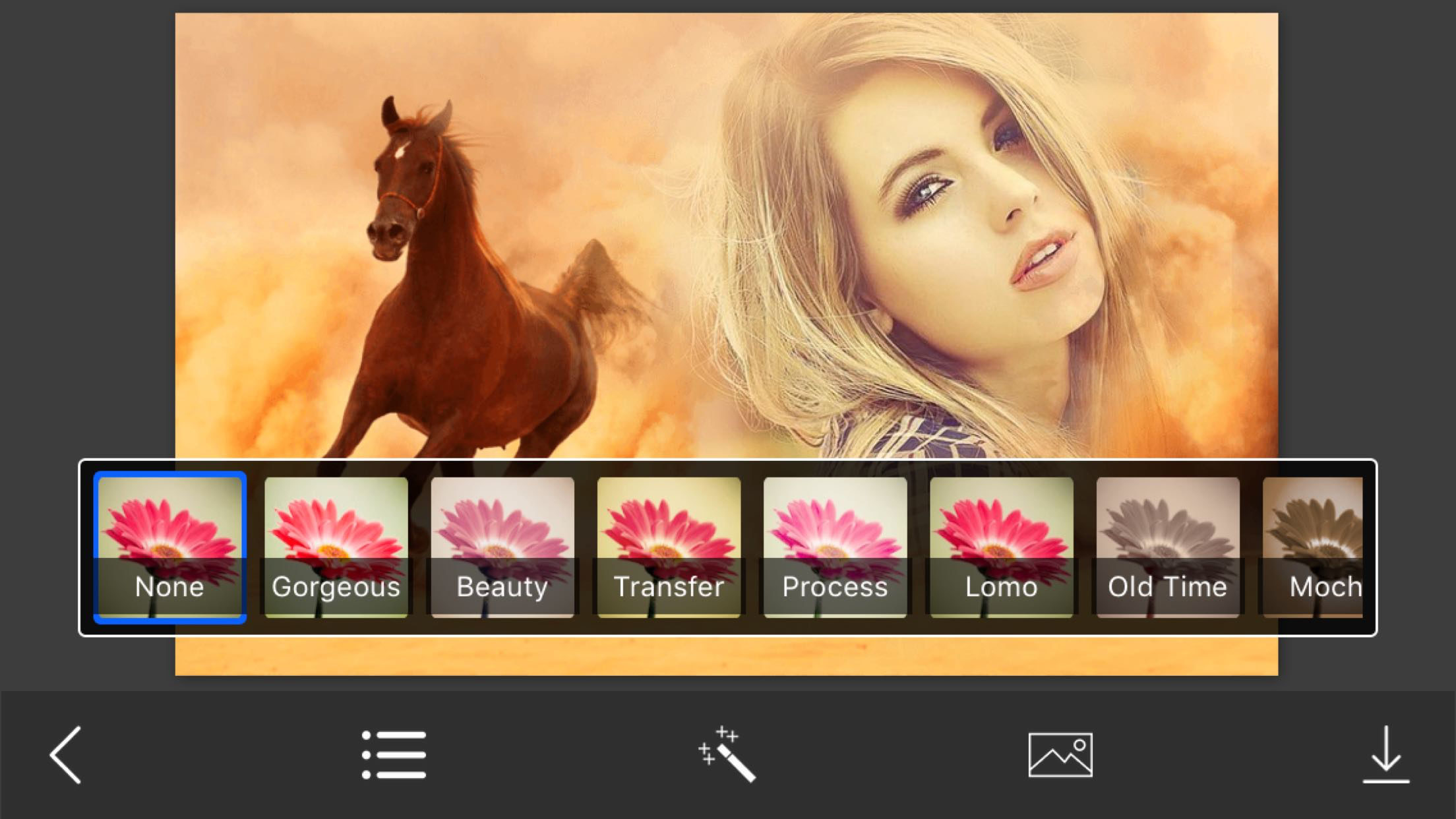 Desert Photo Frames - Elegant Photo frame for your lovely moments