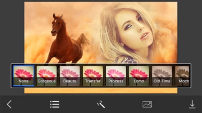 Screenshot #3 pour Desert Photo Frames - Elegant Photo frame for your lovely moments