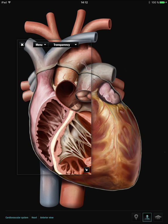 Screenshot #5 for Virtual Human Body