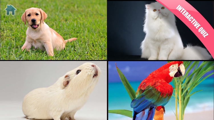 Toddlers Learn! Games For Babies 1-3 years old