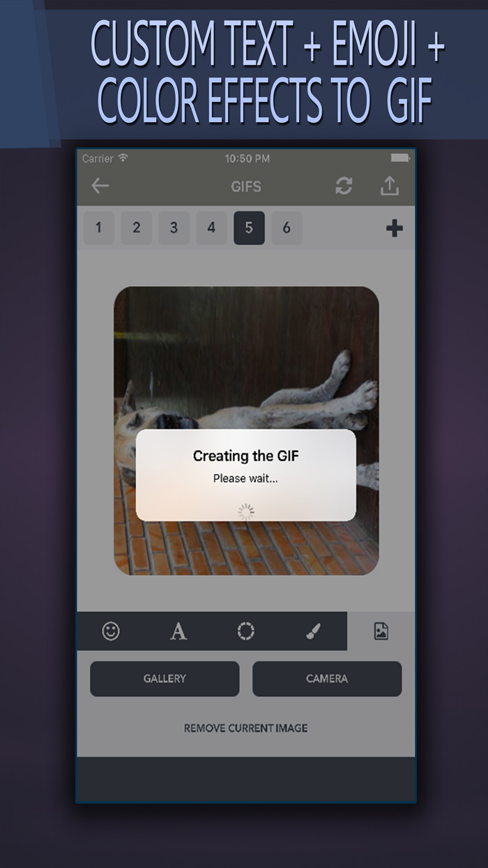 Gif Editor - Photo  Text  Emoji