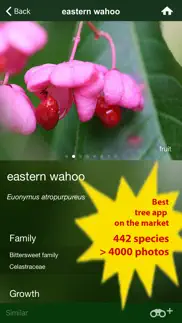 tree id canada - identify over 1000 native canadian species of trees, shrubs and bushes iphone screenshot 2
