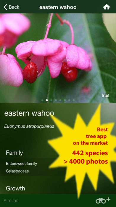 Tree Id Canada - identify over 1000 native Canadian species of Trees, Shrubs and Bushesのおすすめ画像2