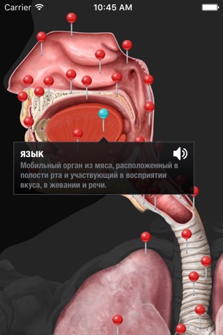 Виртуальное человеческое телоのおすすめ画像3