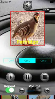 birds mimic iphone screenshot 3