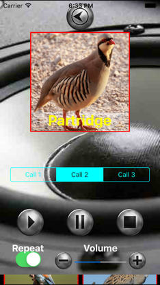 Birds Mimic screenshot 3