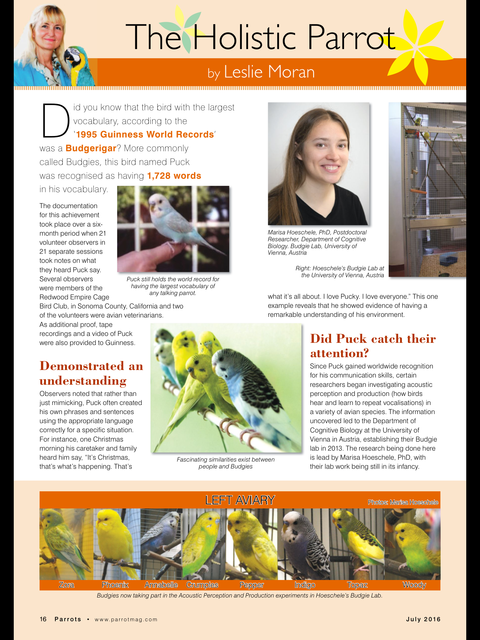 Parrots magazine