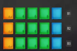 Game screenshot Funk Brasil Pro apk