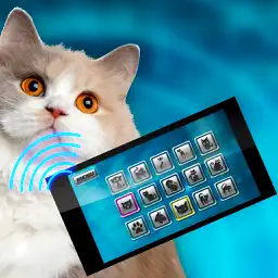 Translator Cat Pet Joke app icon