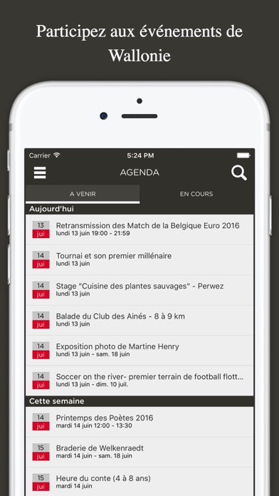 Screenshot #3 pour WalloniaTourism